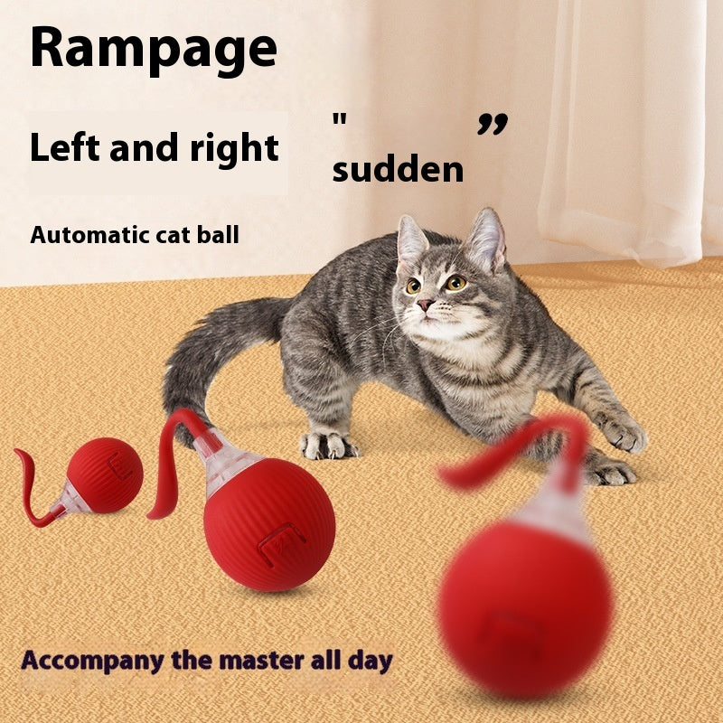 Interactive Ball for Cat