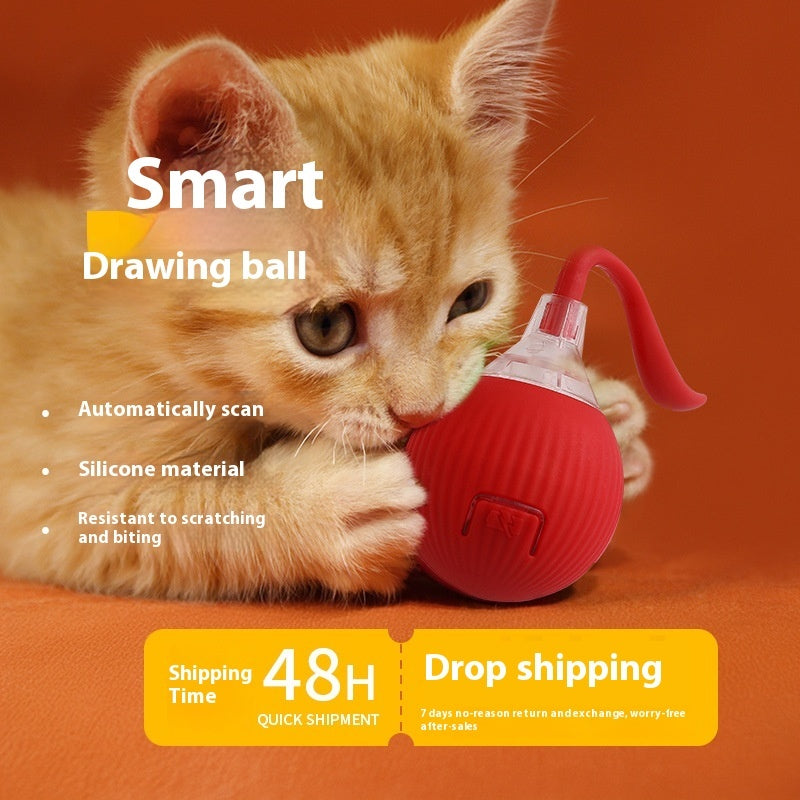 Interactive Ball for Cat