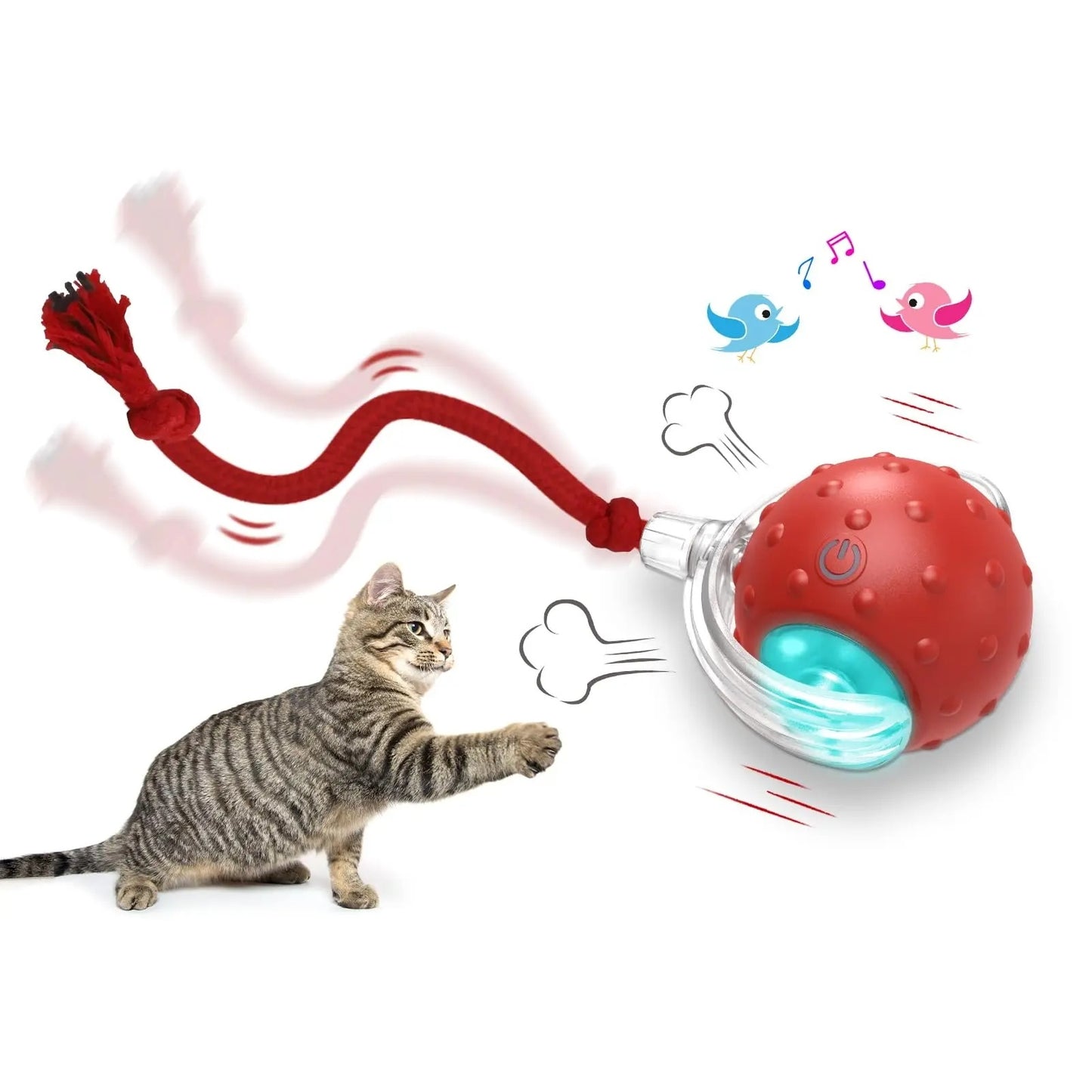 Interactive Ball for Cat